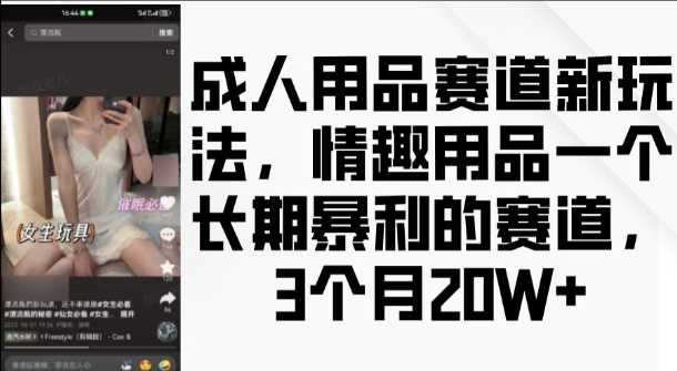 成人用品赛道新玩法，情趣用品一个长期暴利的赛道，3个月收益20个【揭秘】好创网-专注分享网络创业落地实操课程 – 全网首发_高质量项目输出好创网