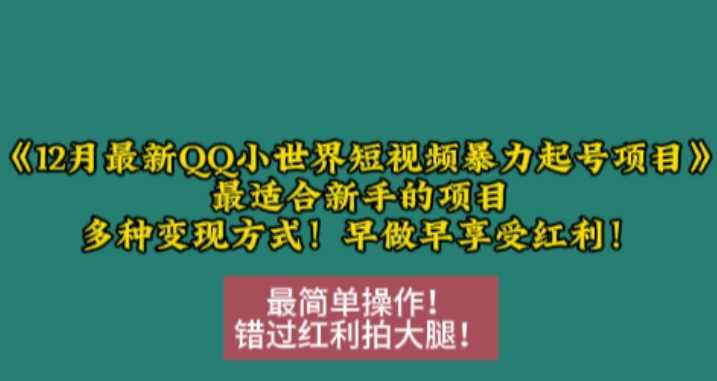 12月最新QQ小世界短视频暴力起号项目，最适合新手的项目，多种变现方式好创网-专注分享网络创业落地实操课程 – 全网首发_高质量项目输出好创网