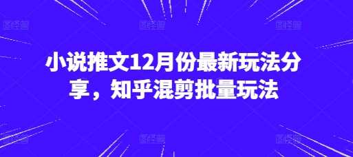 小说推文12月份最新玩法分享，知乎混剪批量玩法好创网-专注分享网络创业落地实操课程 – 全网首发_高质量项目输出好创网