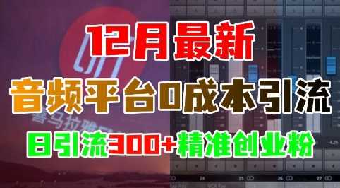 12月最新：音频平台0成本引流，日引流300+精准创业粉好创网-专注分享网络创业落地实操课程 – 全网首发_高质量项目输出好创网