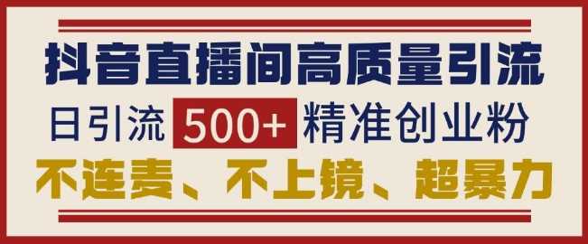 抖音直播间引流创业粉，无需连麦、不用上镜、超暴力，日引流500+高质量精准创业粉好创网-专注分享网络创业落地实操课程 – 全网首发_高质量项目输出好创网