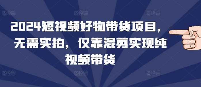 2024短视频好物带货项目，无需实拍，仅靠混剪实现纯视频带货好创网-专注分享网络创业落地实操课程 – 全网首发_高质量项目输出好创网