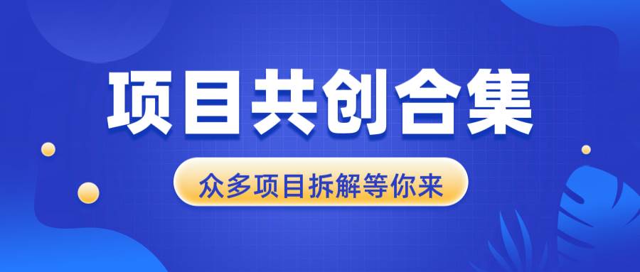 （13778期）项目共创合集，从0-1全过程拆解，让你迅速找到适合自已的项目好创网-专注分享网络创业落地实操课程 – 全网首发_高质量项目输出好创网