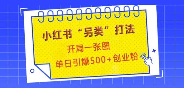 小红书“另类”打法，开局一张图，单日引爆500+精准创业粉【揭秘】好创网-专注分享网络创业落地实操课程 – 全网首发_高质量项目输出好创网