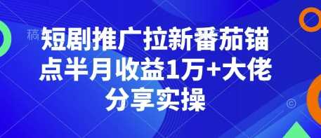 短剧推广拉新番茄锚点半月收益1万+大佬分享实操好创网-专注分享网络创业落地实操课程 – 全网首发_高质量项目输出好创网