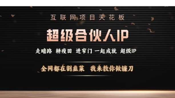 互联网项目天花板，超级合伙人IP，全网都在割韭菜，我来教你做镰刀【仅揭秘】好创网-专注分享网络创业落地实操课程 – 全网首发_高质量项目输出好创网