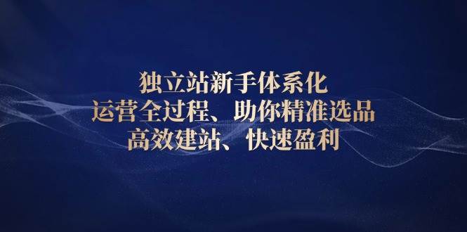 （13914期）独立站新手体系化 运营全过程，助你精准选品、高效建站、快速盈利好创网-专注分享网络创业落地实操课程 – 全网首发_高质量项目输出好创网