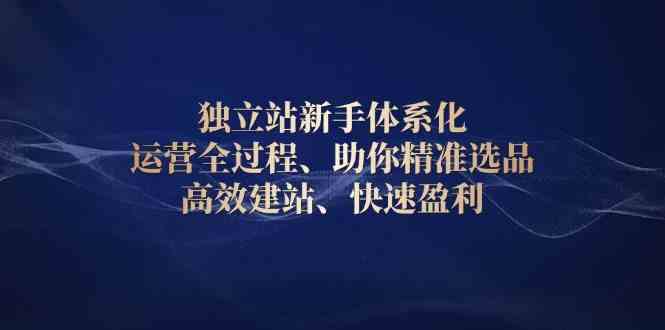 独立站新手体系化 运营全过程，助你精准选品、高效建站、快速盈利好创网-专注分享网络创业落地实操课程 – 全网首发_高质量项目输出好创网