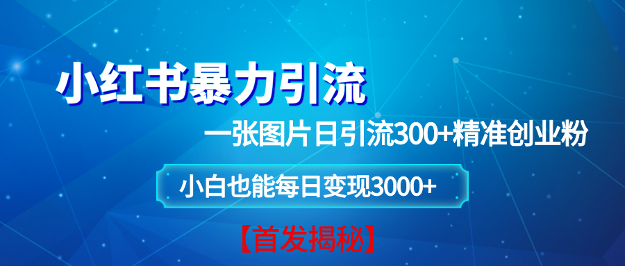 （13935期）小红书暴力引流法，一张图片日引 300+精准创业粉，每日稳定变现 3000+【揭秘】好创网-专注分享网络创业落地实操课程 – 全网首发_高质量项目输出好创网